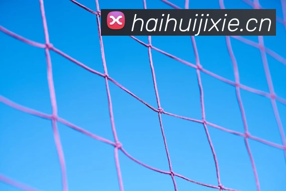 奖项证书